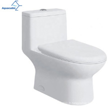 Aquacubic Hot Vente Cupc Swirling Rush Bathroom One-pièce toilettes One Piece Sanitary Ware WC Toilet moderne Toilette en céramique